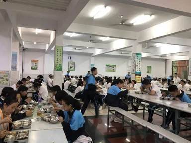 校园食堂老鼠防治