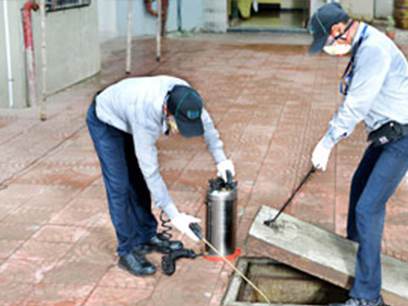 全方位布局，学校除四害工作方案及措施亮点纷呈